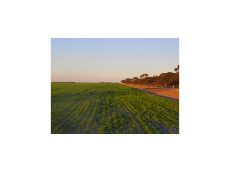 ‘Darjeeling’ 1412 Gleeson Road, Mills Lake WA 6336