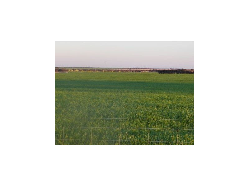 ‘Darjeeling’ 1412 Gleeson Road, Mills Lake WA 6336