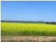 ‘Gemlee’ Ongerup-Pingerup Road, Pingrup WA 6343