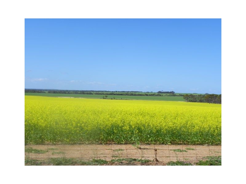 ‘Gemlee’ Ongerup-Pingerup Road, Pingrup WA 6343