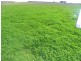 ‘Gemlee’ Ongerup-Pingerup Road, Pingrup WA 6343