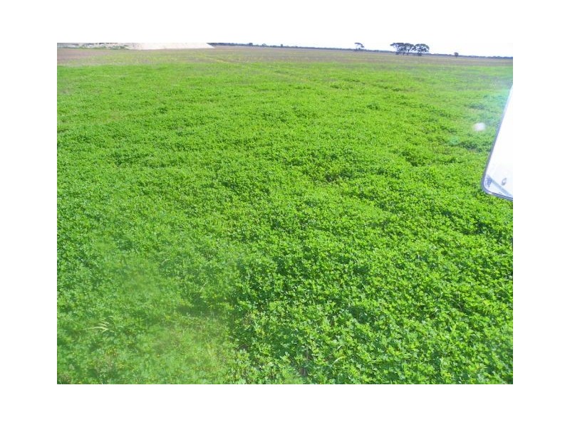‘Gemlee’ Ongerup-Pingerup Road, Pingrup WA 6343