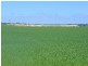 ‘Gemlee’ Ongerup-Pingerup Road, Pingrup WA 6343