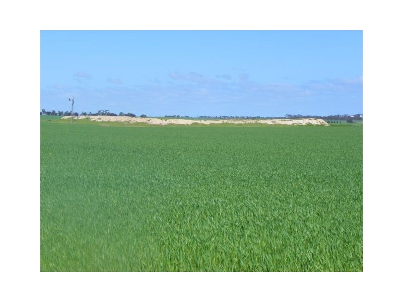 ‘Gemlee’ Ongerup-Pingerup Road, Pingrup WA 6343
