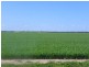 ‘Gemlee’ Ongerup-Pingerup Road, Pingrup WA 6343