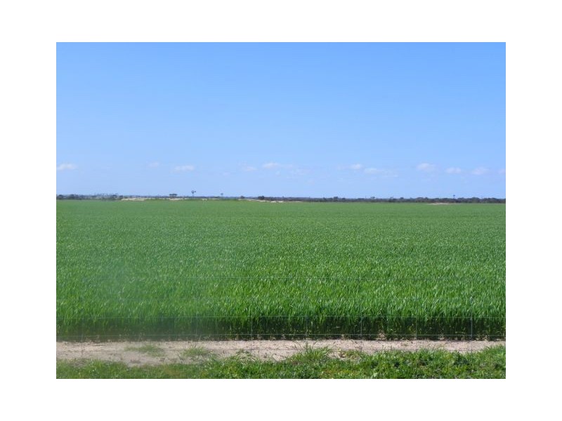 ‘Gemlee’ Ongerup-Pingerup Road, Pingrup WA 6343