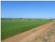‘Gemlee’ Ongerup-Pingerup Road, Pingrup WA 6343