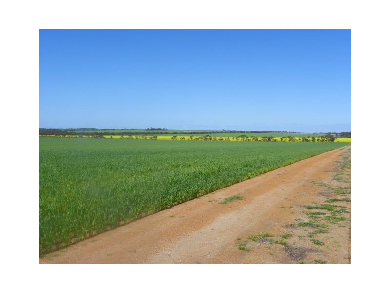 ‘Gemlee’ Ongerup-Pingerup Road, Pingrup WA 6343