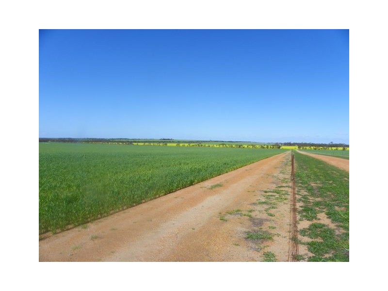 ‘Gemlee’ Ongerup-Pingerup Road, Pingrup WA 6343