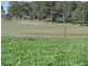 2347 Gillingarra West Road, “Rowley Downs”, Gillingarra WA 6510