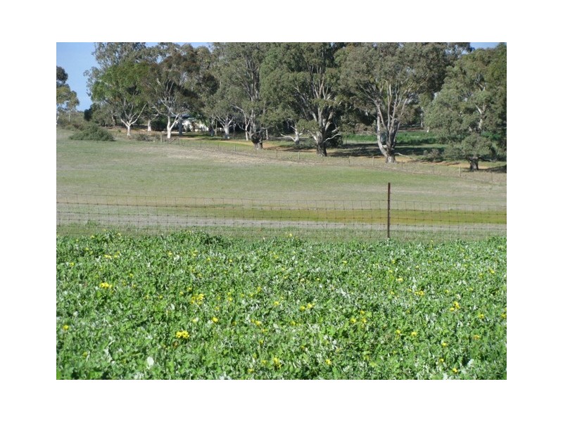 2347 Gillingarra West Road, “Rowley Downs”, Gillingarra WA 6510