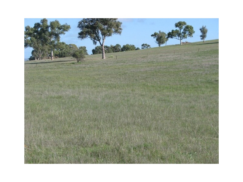 2347 Gillingarra West Road, “Rowley Downs”, Gillingarra WA 6510