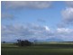 “Kebaringup Views” Gnowangerup – Jerramungup Road, Gnowangerup WA 6335