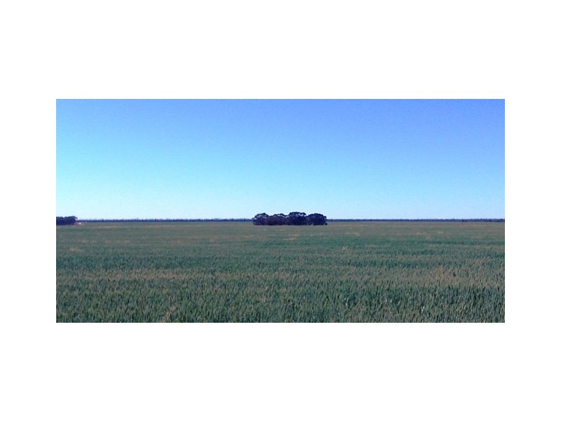 Lot 1510 Sanderson Road, Salmon Gums WA 6445
