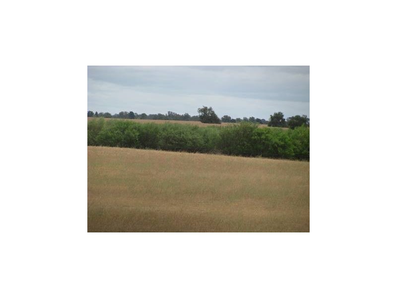 ‘Mindalong’ 452 Brand Mudge Road, Eganu WA 6515