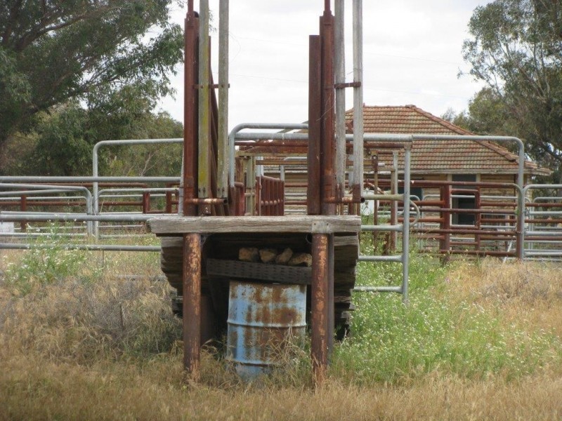 ‘Mindalong’ 452 Brand Mudge Road, Eganu WA 6515