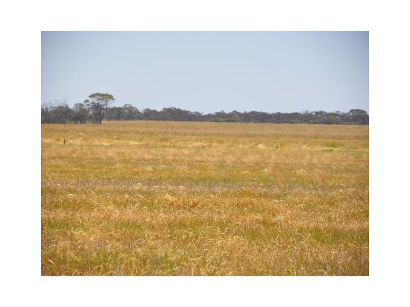 “Park Road”, Ongerup WA 6336