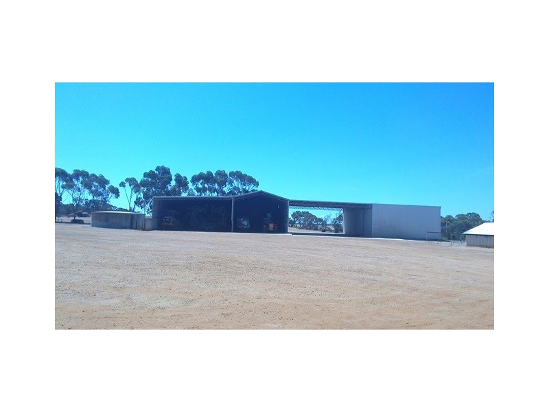 . ”Berggruen Farms”, Mount Madden WA 6356