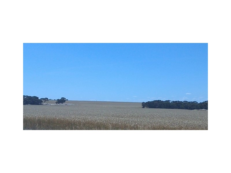 . ”Berggruen Farms”, Mount Madden WA 6356