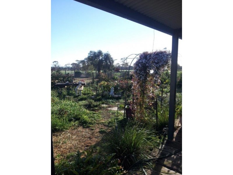 ‘Lewiston’ Crampton Street, Pithara WA 6608