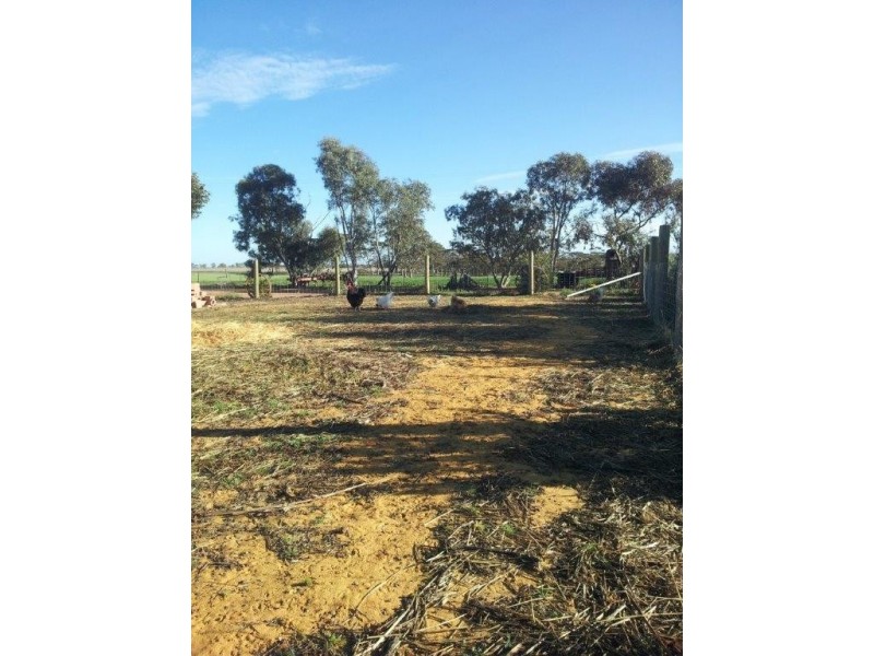 ‘Lewiston’ Crampton Street, Pithara WA 6608