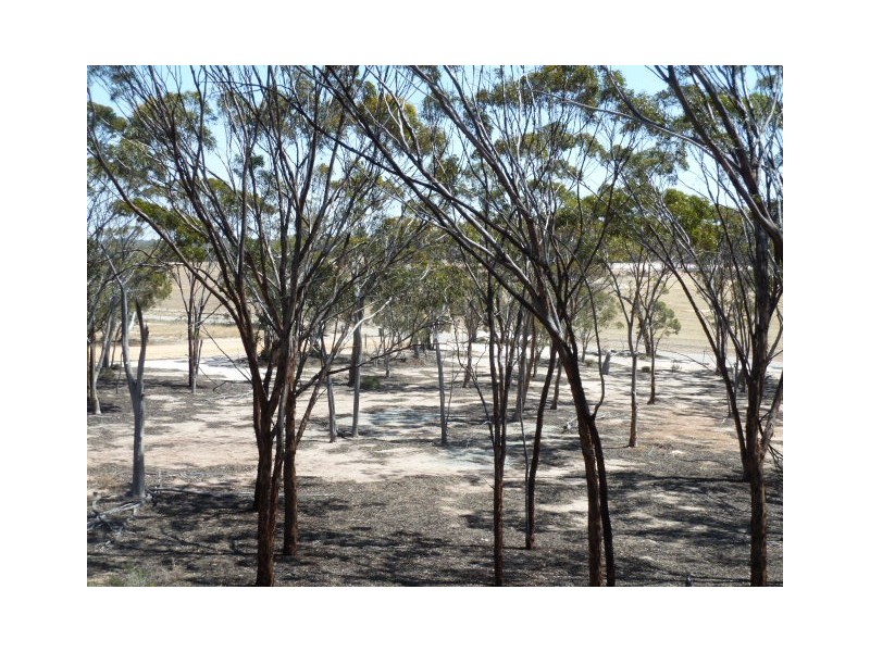 18 Manning Road, Quairading WA 6383