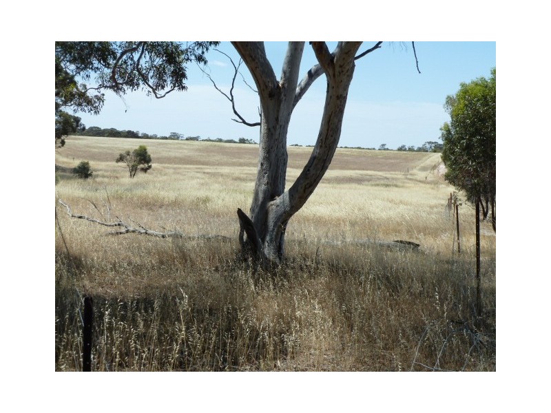 18 Manning Road, Quairading WA 6383