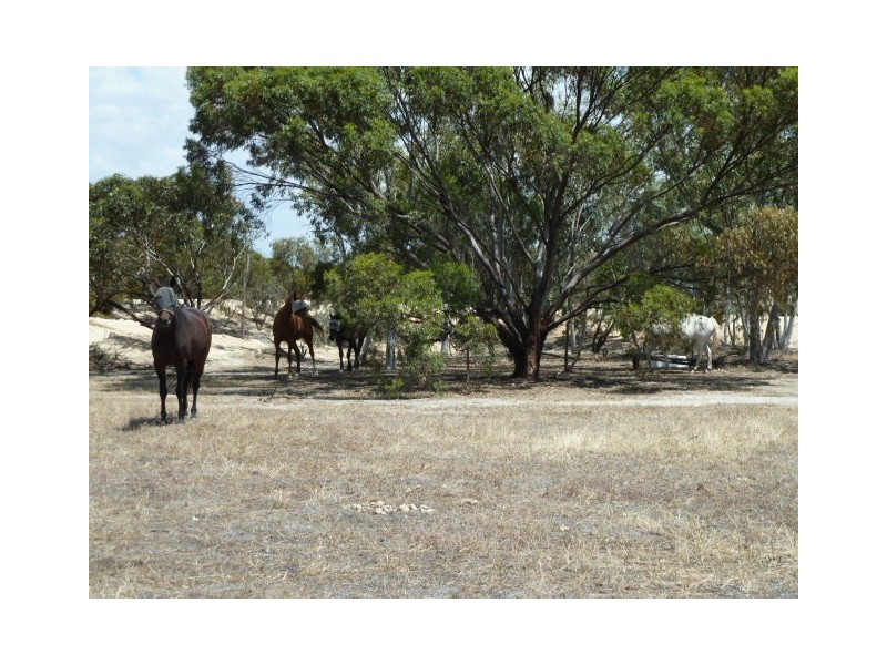 18 Manning Road, Quairading WA 6383