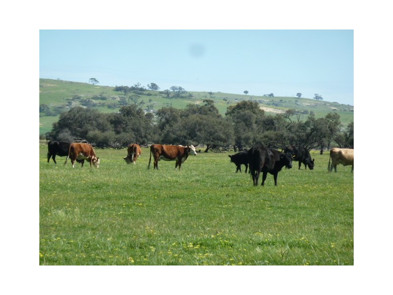 2889 Westdale Road, Beverley WA 6304