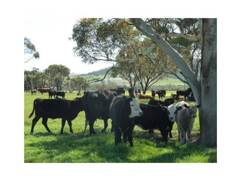 2889 Westdale Road, Beverley WA 6304