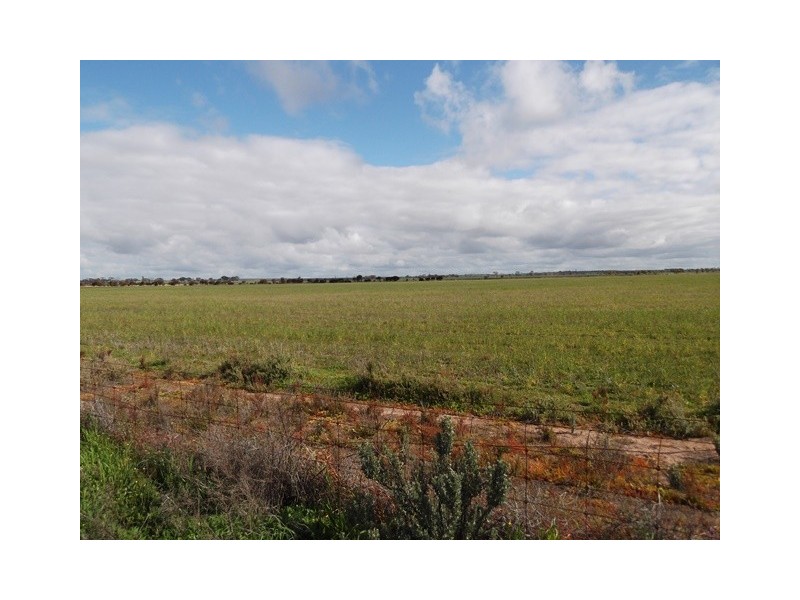 ‘Garns’ Koorda-Wyalkatchem Road, Wyalkatchem WA 6485