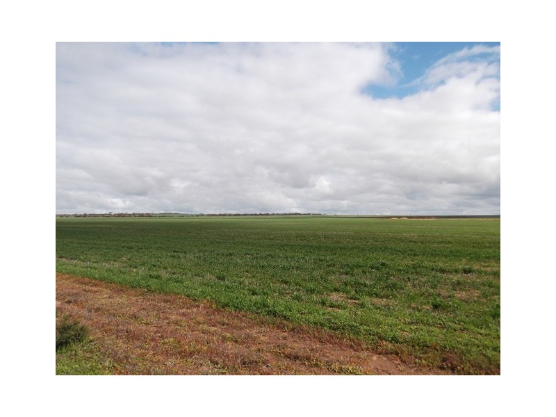 ‘Garns’ Koorda-Wyalkatchem Road, Wyalkatchem WA 6485