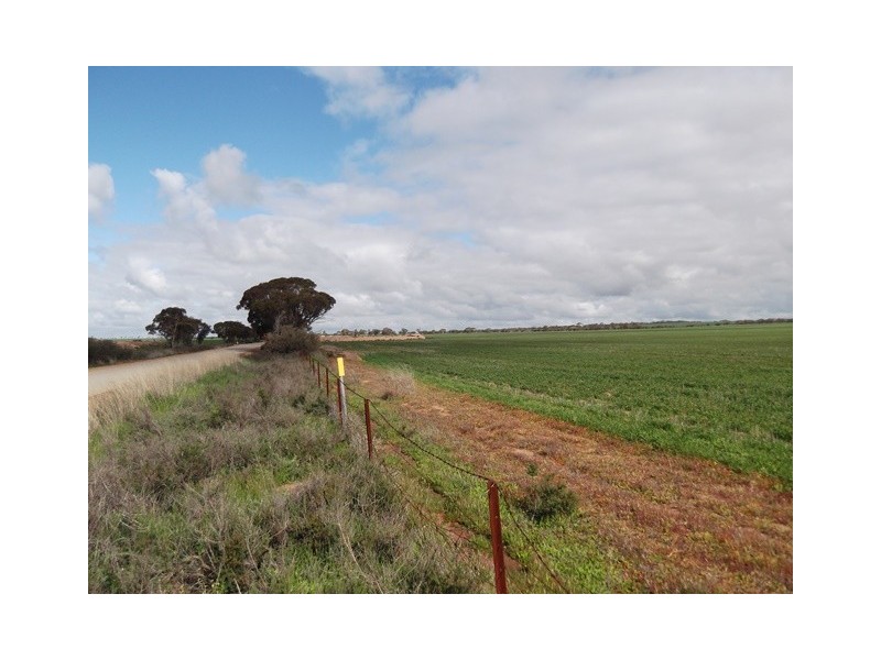 ‘Garns’ Koorda-Wyalkatchem Road, Wyalkatchem WA 6485