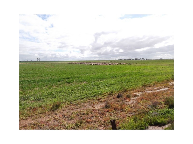 ‘Garns’ Koorda-Wyalkatchem Road, Wyalkatchem WA 6485