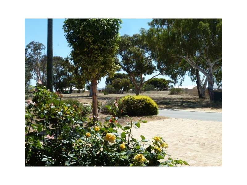 47 MacDonald Street, Quairading WA 6383