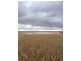 ‘Stirling View’ Rabbit Proof Fence Road, Ongerup WA 6336