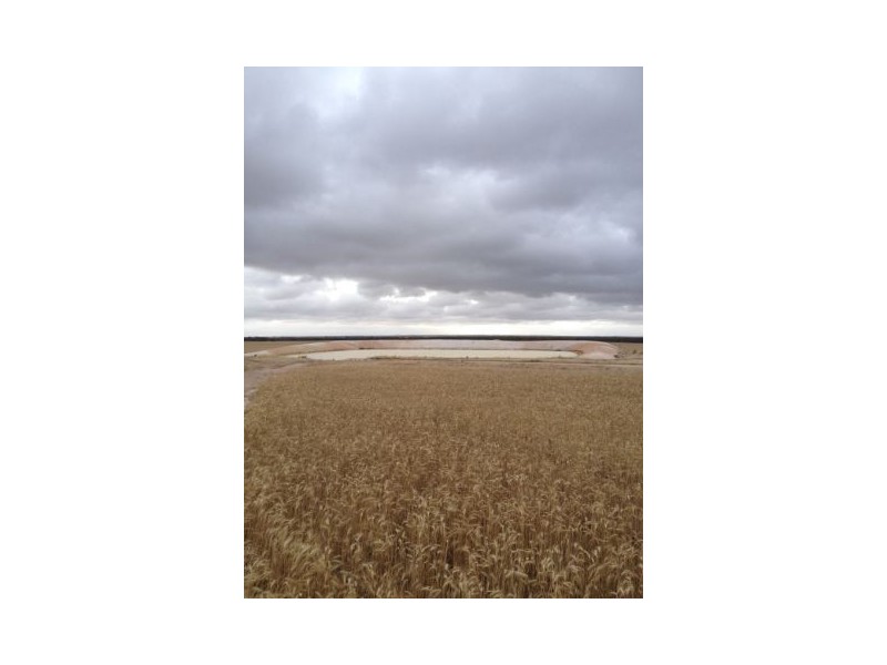 ‘Stirling View’ Rabbit Proof Fence Road, Ongerup WA 6336