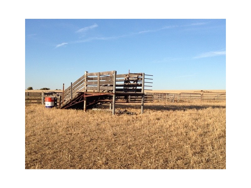 ‘Ivanhoe’ Boundary Road, Gillingarra WA 6510