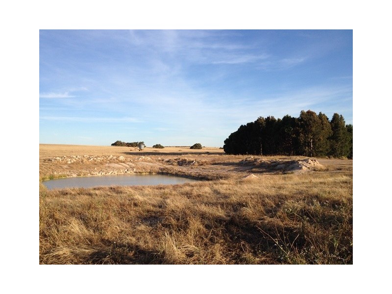 ‘Ivanhoe’ Boundary Road, Gillingarra WA 6510