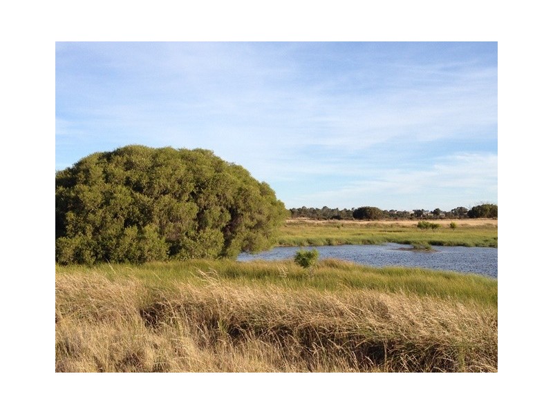 ‘Ivanhoe’ Boundary Road, Gillingarra WA 6510