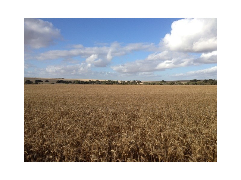 ‘Ivanhoe’ Boundary Road, Gillingarra WA 6510