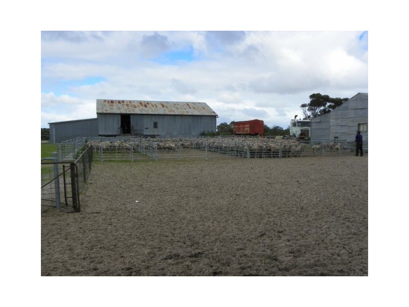 ‘Sarlog Farm’ Foster Road, Ongerup WA 6336