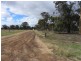 ‘Sarlog Farm’ Foster Road, Ongerup WA 6336