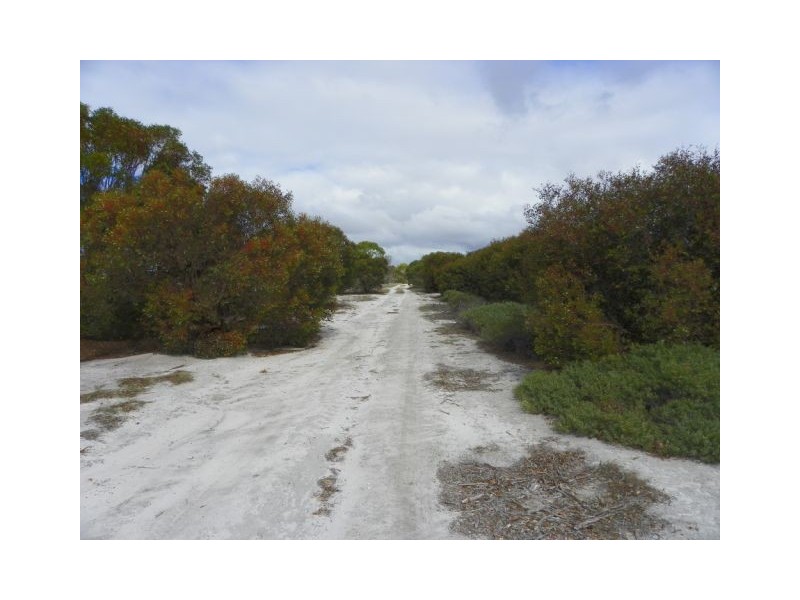 ‘Sarlog Farm’ Foster Road, Ongerup WA 6336