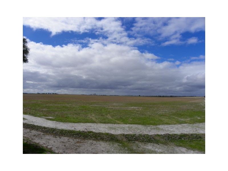 ‘Sarlog Farm’ Foster Road, Ongerup WA 6336