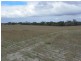 ‘Sarlog Farm’ Foster Road, Ongerup WA 6336