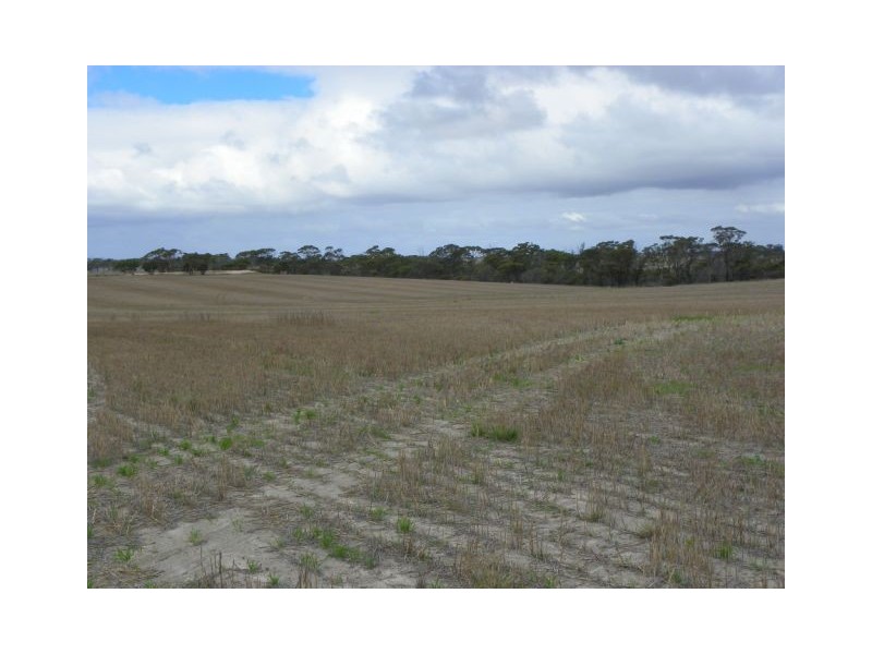 ‘Sarlog Farm’ Foster Road, Ongerup WA 6336