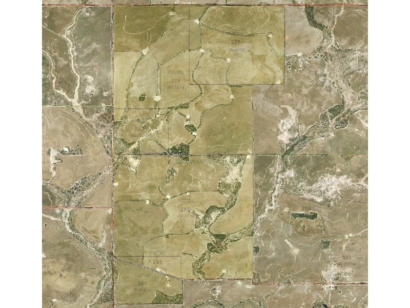 ‘Sarlog Farm’ Foster Road, Ongerup WA 6336