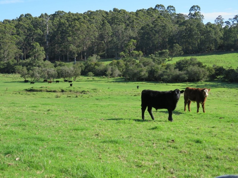 266 Parker Road, Denmark WA 6333