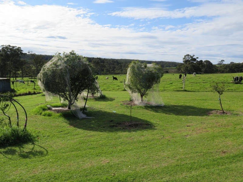 266 Parker Road, Denmark WA 6333